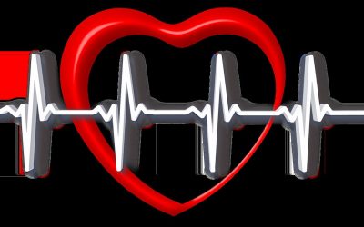 Jednostavno upravljanje retargetingom: kako koristiti Perfect Audience