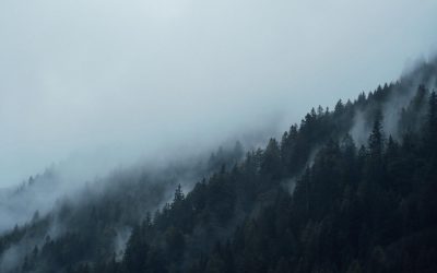 Evolucija softverske automatizacije oglašavanja i budući trendovi