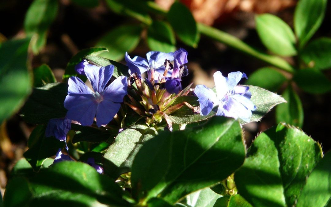 Ad tech stack koji vodeći oglašivači koriste za povezivanje s publikom