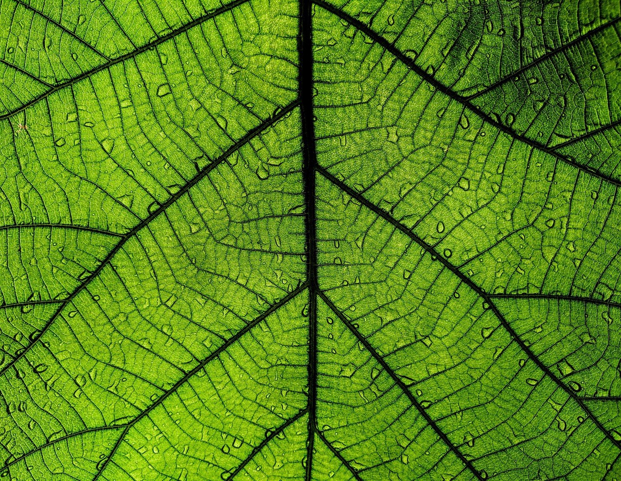 Što je pre-roll oglas i zašto ga koristiti