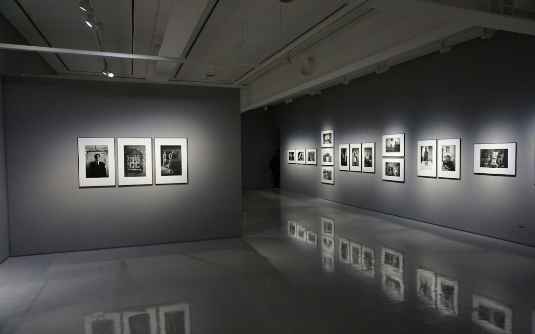 NextGEN Gallery 101: Kako odabrati i postaviti najbolji WordPress plugin za galerije slika