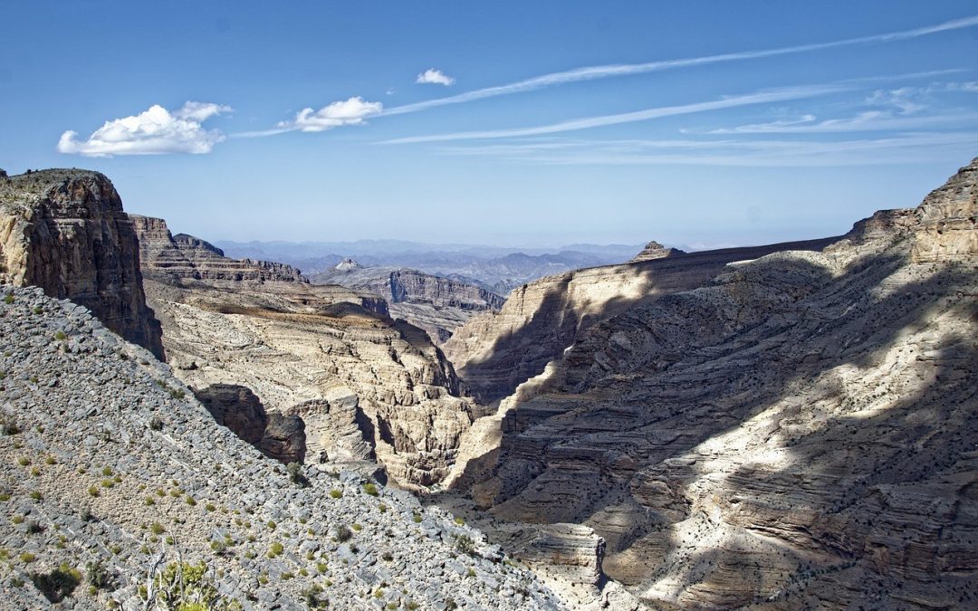 Reddit Trending Takeover: maksimalna vidljivost za vaš brend i poruku