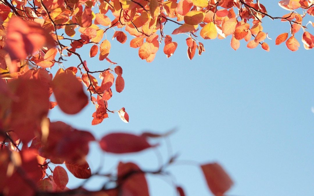 Što su privatna tržišta (PMP) i zašto bi oglašivače to trebalo zanimati