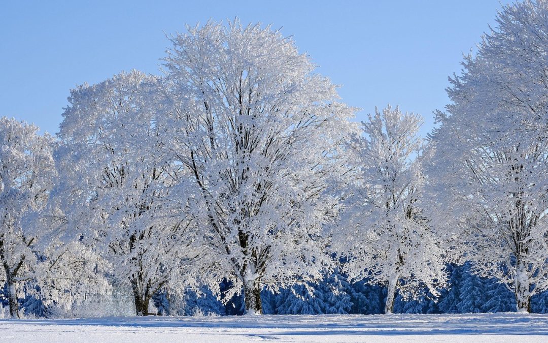 Vaš vodič za Pinterest promovirane pinove: najbolje prakse, primjeri, specifikacije i više