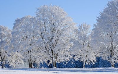 Vaš vodič za Pinterest promovirane pinove: najbolje prakse, primjeri, specifikacije i više