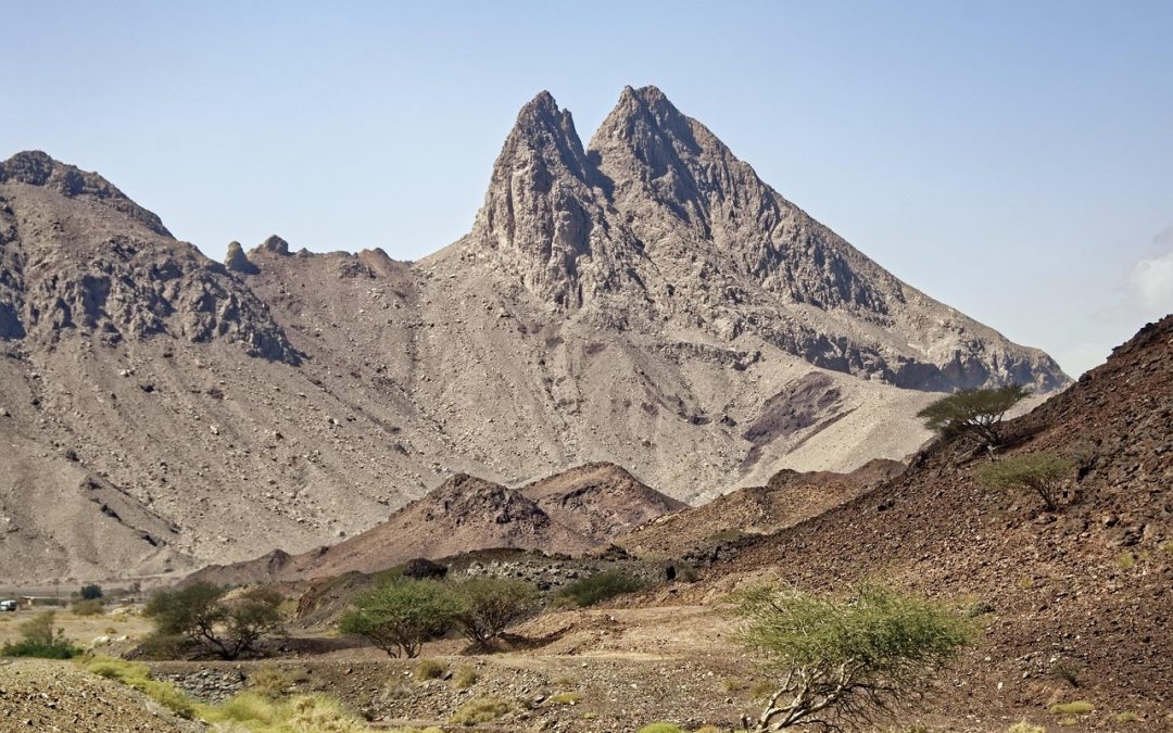 Instagram Explore oglasi: kako funkcioniraju, specifikacije i povećanje konverzija